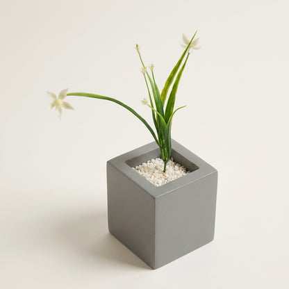 Wood Planter — Studio. NovoBiz 4028a6f0-65b3-49cd-b7b9-7156470fc413
